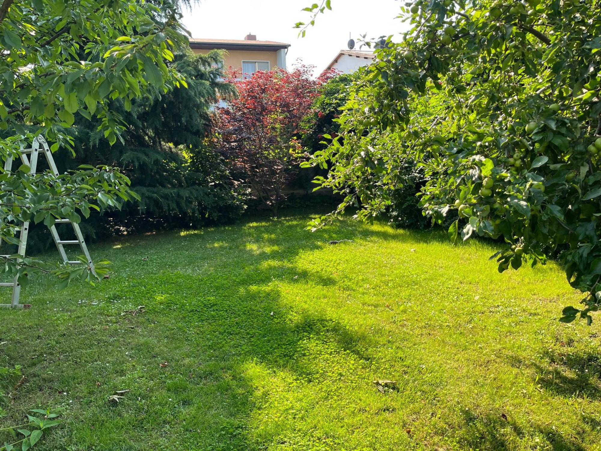 Elbidyll Appartement Maagdenburg Buitenkant foto
